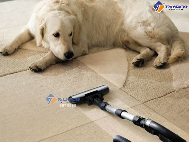 Tổng hợp công dụng “đặc biệt” của máy hút bụi
