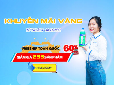 Chương trình khuyến mãi tháng 11 – Quà hay thay lời tri ân