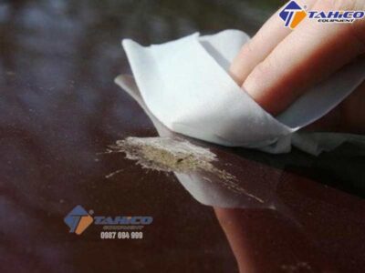 Làm sạch phân chim ở xe ô tô như thế nào?