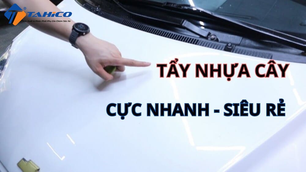 Tẩy Nhựa Cây Trên Ô Tô | Những Cách Làm Hiệu Quả Nhất