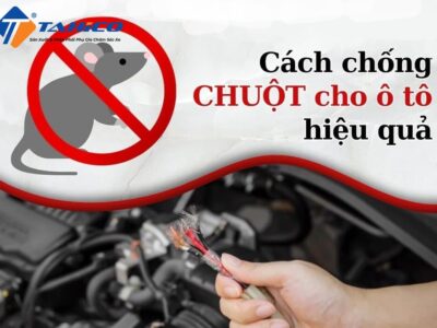 Cách Chống Chuột Vào Ô Tô: Những Mẹo Đơn Giản & Hiệu Quả