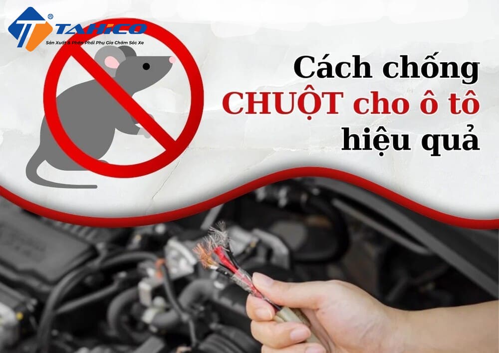 Cách Chống Chuột Vào Ô Tô: Những Mẹo Đơn Giản & Hiệu Quả