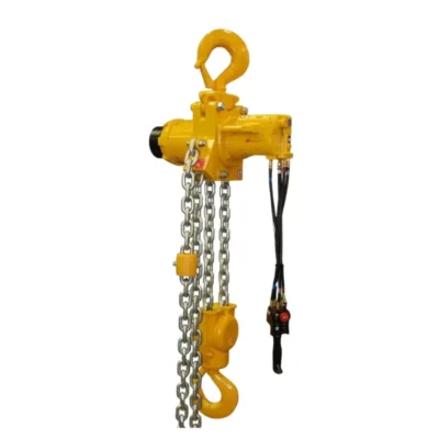 Hình ảnh sản phẩm Pa lăng hơi Ingersoll Rand LC2A Air Chain Hoist 3,300kg