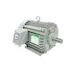 Mortor Kotes 2hp/220V - Thái Lan