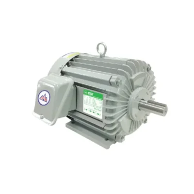 Mortor Kotes 2hp/220V - Thái Lan