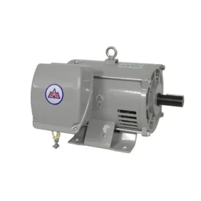 Mortor Kotes 3HP/220V - Thái Lan