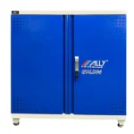 Tủ giày bảo hộ Ally QT-LD04 | 12 ngăn 2 cánh