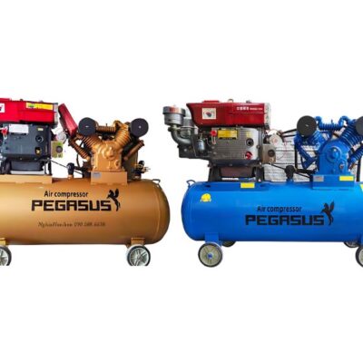 Máy nén khí chạy dầu diesel PEGASUS 15hp
