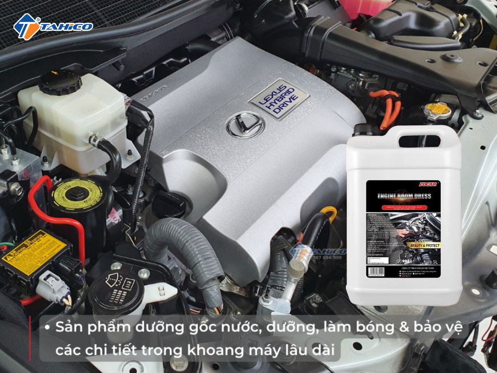 Đặc điểm Focar Engine Room Dress FC134