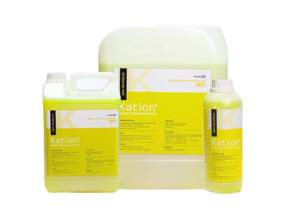 Đặc điểm Kation M01