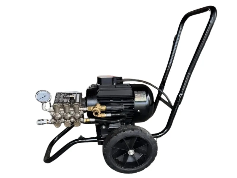 Máy rửa xe InterPump-75200 7.5hp áp 200 bar - Italy