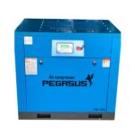 Máy nén khí 10HP Pegasus