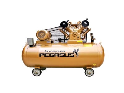 Máy nén khí Pegasus