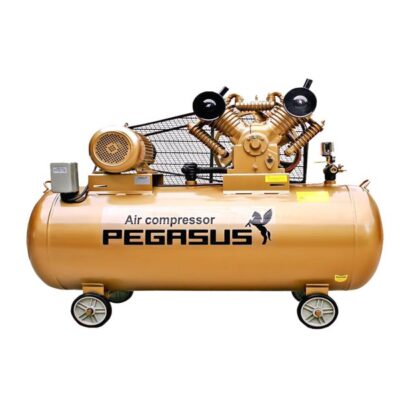 Máy nén khí Pegasus
