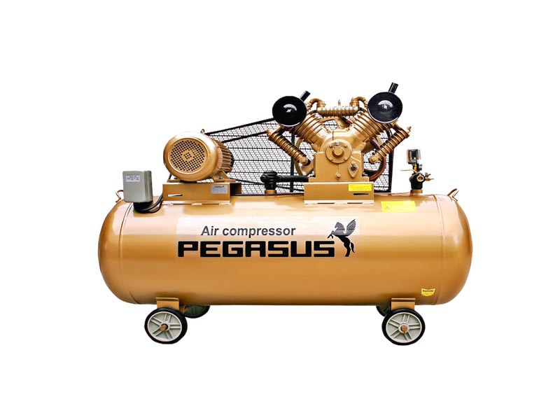Máy nén khí Pegasus