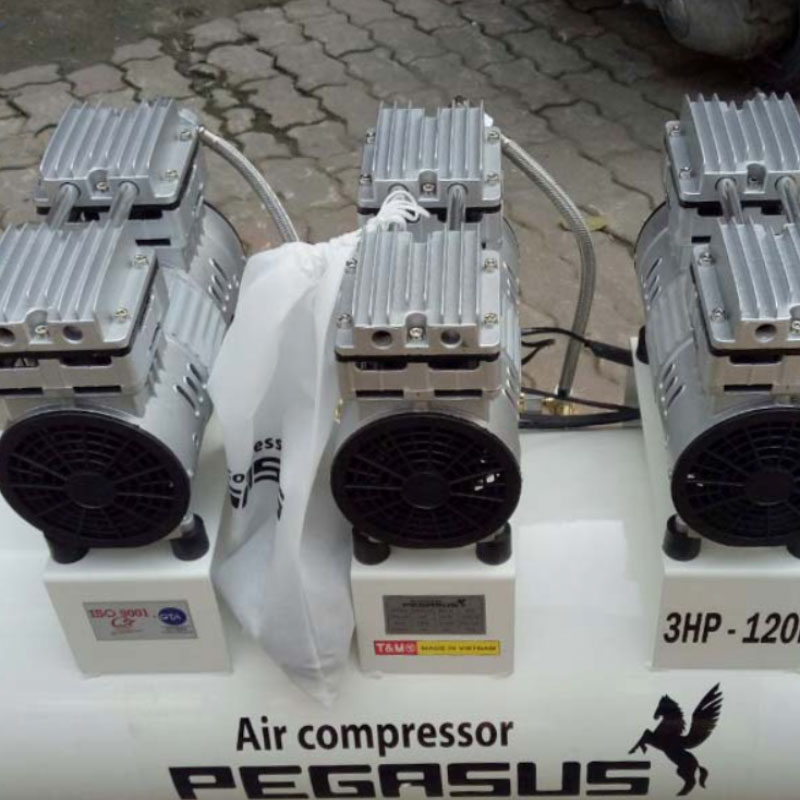 Máy nén khí không dầu giảm âm Pegasus 3HP