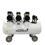 Máy nén khí không dầu 3hp