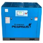 Máy nén khí trục vít biến tần 10HP Pegasus