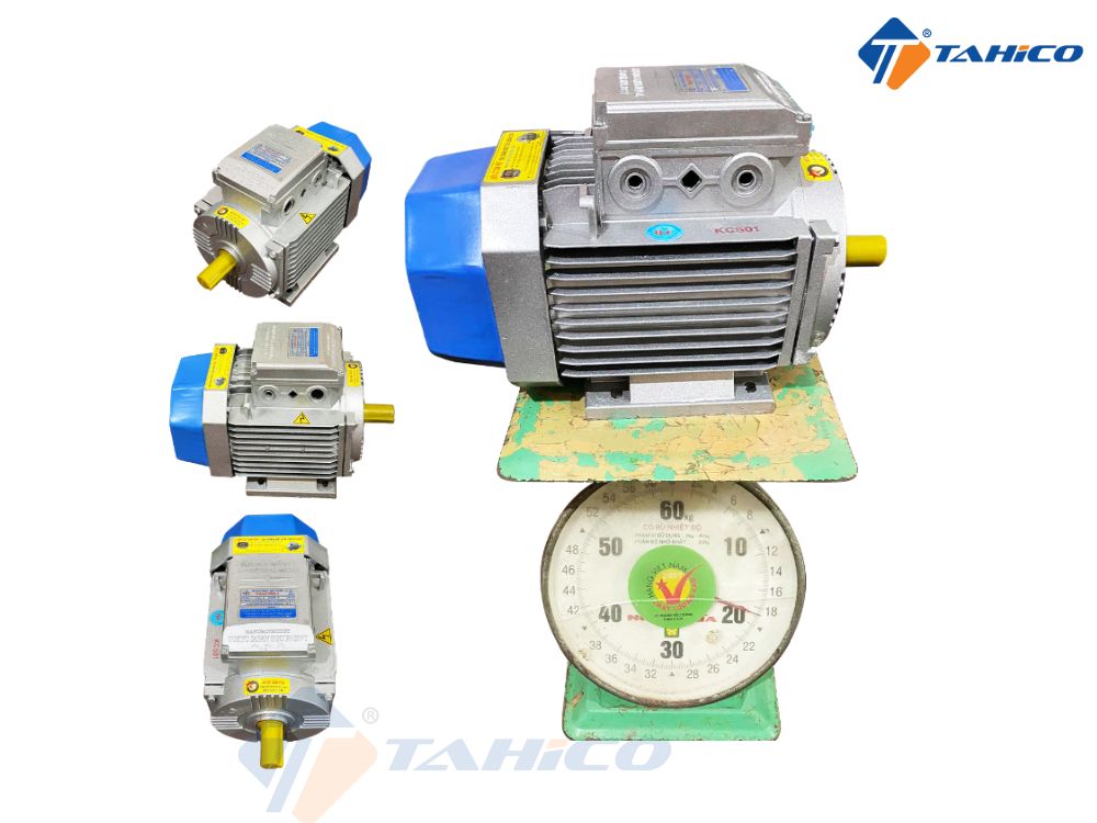 Mô tơ 1 pha Toàn Phát 220V 2900 vòng/phút