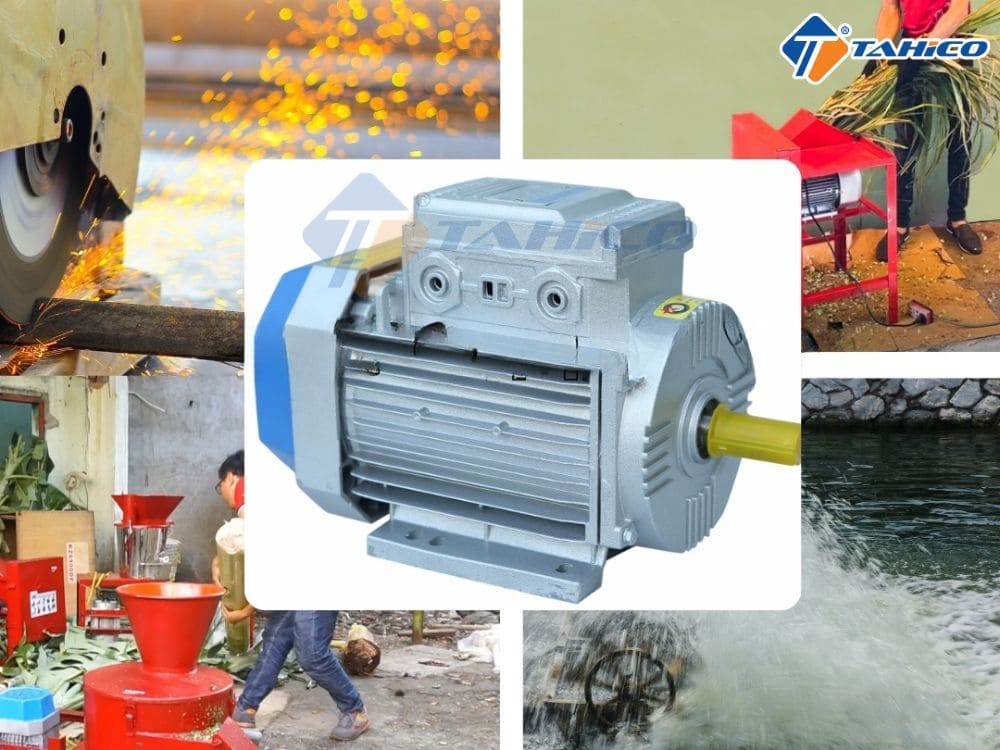 Mô tơ 1 pha Toàn Phát 220V 2900 vòng/phút