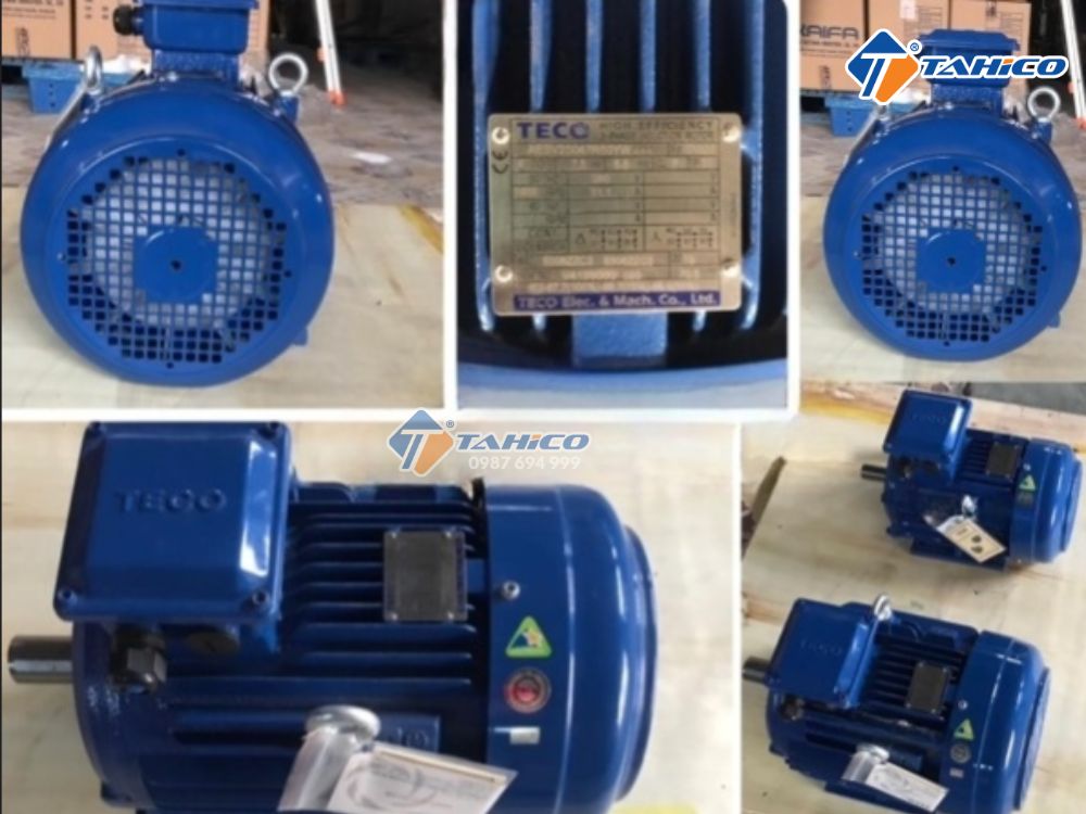 Mô tơ chân đế Teco AESV 3 pha 380V 1hp-20hp
