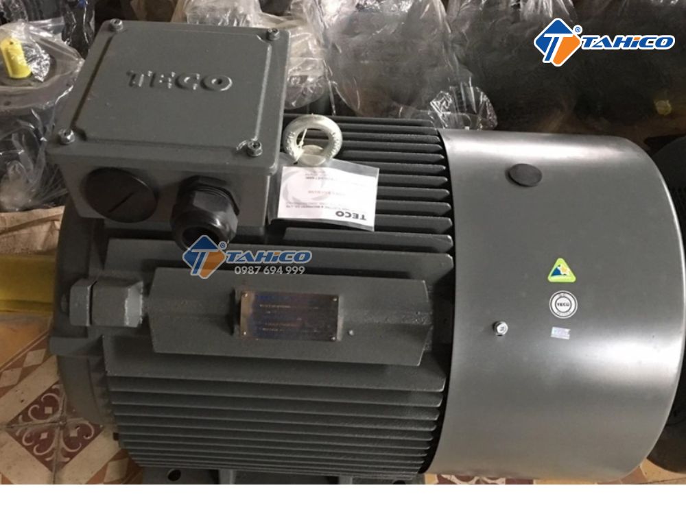 Mô tơ chân đế Teco AESV 3 pha 380V 1hp-20hp