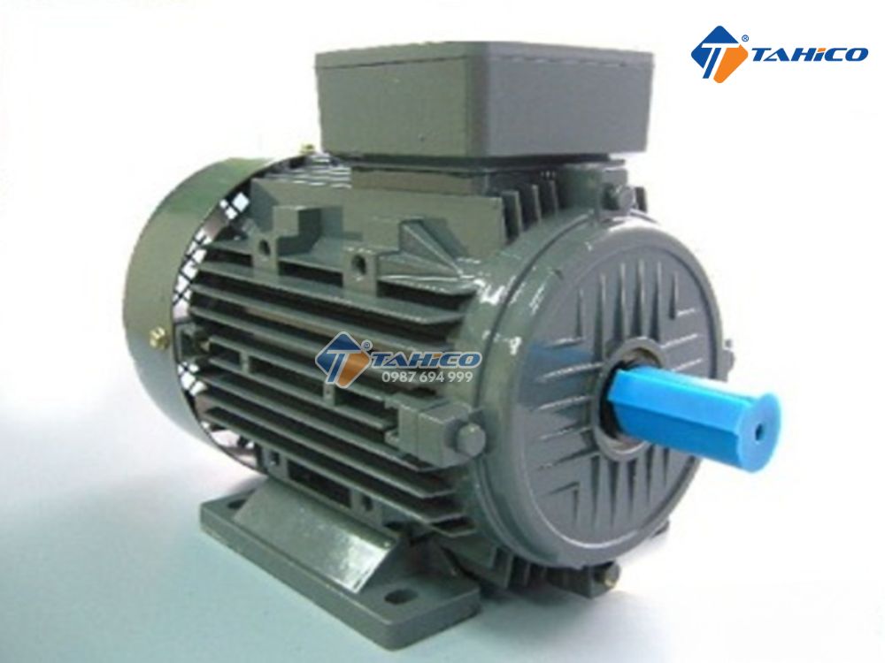 Mô tơ chân đế Teco AESV 3 pha 380V 1hp-20hp
