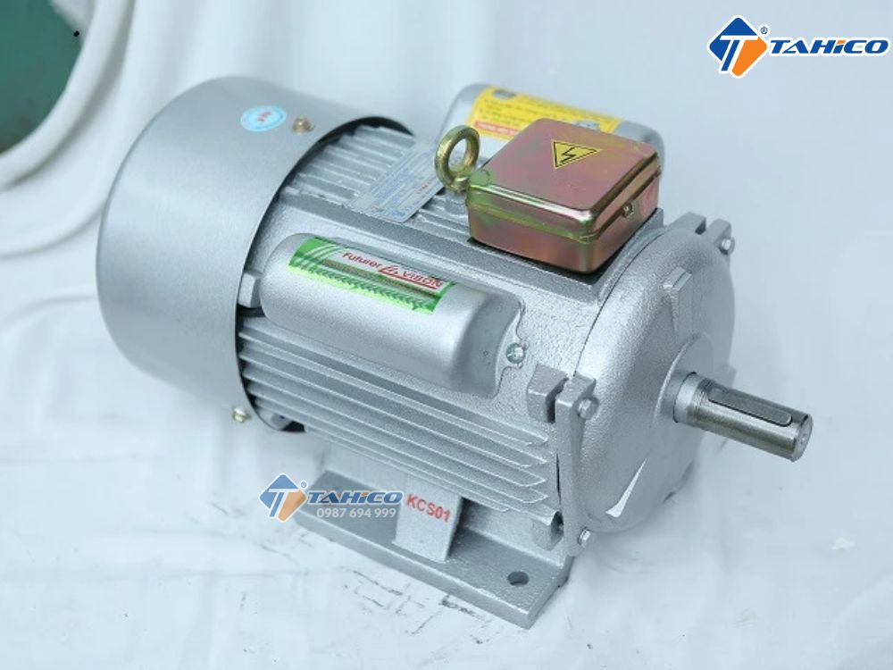 Motor Toàn Phát vỏ gang 220V 1400 và 2900 vòng/phút